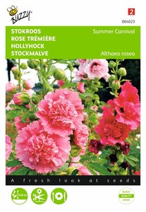 Buzzy® Althaea, Stokroos Summer Carnival - afbeelding 1