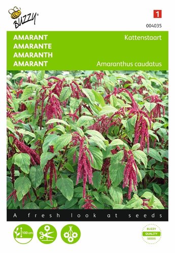 Buzzy® Amaranthus, Kattenstaart rood - afbeelding 1