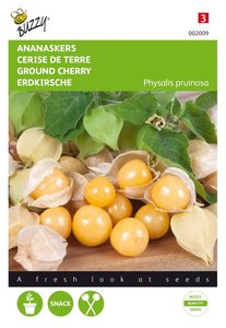 Buzzy® Ananaskers Physalis pruinosa - afbeelding 1