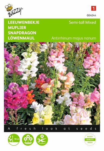 Buzzy® Antirrhinum, Leeuwenbekje half-hoog gemengd - afbeelding 1