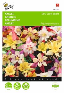 Buzzy® Aquilegia, Akelei Mrs. Scott Elliott - afbeelding 1