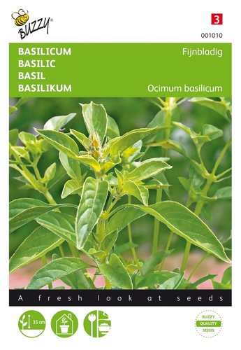 Buzzy® Basilicum Fijne - afbeelding 1