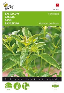 Buzzy® Basilicum Fijne - afbeelding 1