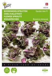 Buzzy® Boerenkoolspruitjes, Kalettes® Garden Mix F1 - afbeelding 1