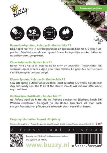 Buzzy® Boerenkoolspruitjes, Kalettes® Garden Mix F1 - afbeelding 2