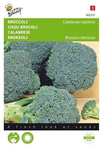 Buzzy® Broccoli Calabrese natalino, groen - afbeelding 1