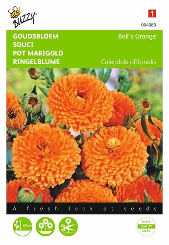 Buzzy® Calendula, Goudsbloem Ball’s Orange dubbelbloemig - afbeelding 1