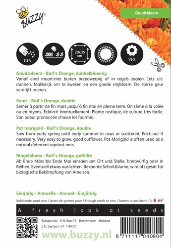 Buzzy® Calendula, Goudsbloem Ball’s Orange dubbelbloemig - afbeelding 2
