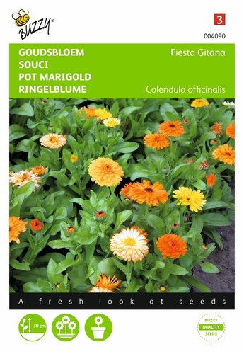 Buzzy® Calendula, Goudsbloem Fiesta Gitana gemengd - afbeelding 1