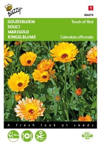 Buzzy® Calendula, Goudsbloem Touch of Red - afbeelding 1