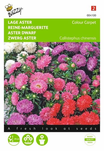 Buzzy® Callistephus, Lage Aster Colour Carpet - afbeelding 1