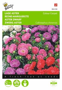 Buzzy® Callistephus, Lage Aster Colour Carpet - afbeelding 1