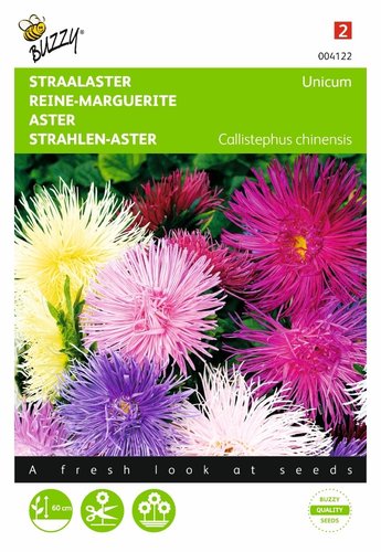 Buzzy® Callistephus, Straalaster Unicum, gemengd - afbeelding 1