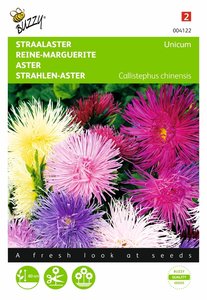 Buzzy® Callistephus, Straalaster Unicum, gemengd - afbeelding 1