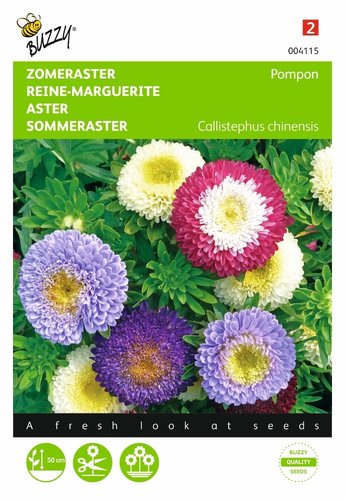 Buzzy® Callistephus, Zomeraster Pompon gemengd - afbeelding 1