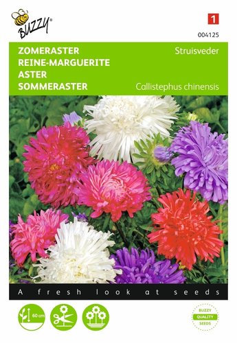 Buzzy® Callistephus, Zomeraster Struisveder gemengd - afbeelding 1