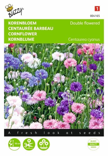 Buzzy® Centaurea, Korenbloem dubbelbloemig gemengd - afbeelding 1