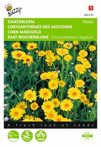 Buzzy® Chrysanthemum, Ganzebloem gele tinten gemengd - afbeelding 1