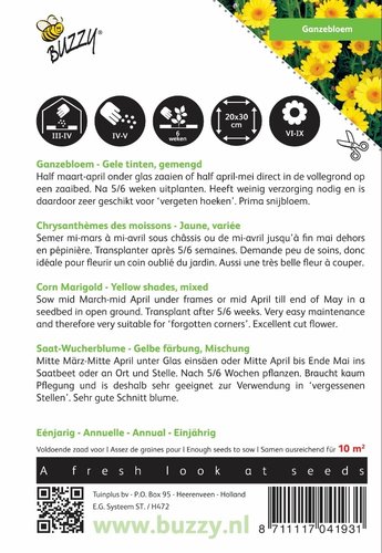 Buzzy® Chrysanthemum, Ganzebloem gele tinten gemengd - afbeelding 2