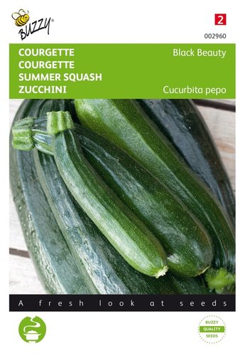 Buzzy® Courgette Black Beauty - Verte De Milan - afbeelding 1