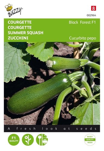 Buzzy® Courgette Klimmend Black Forest F1 - afbeelding 1