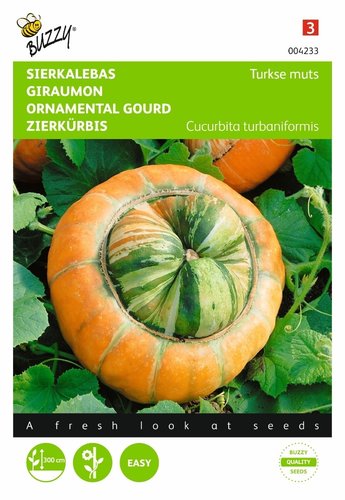 Buzzy® Cucurbita, Sierkalebas Turkse muts - afbeelding 1