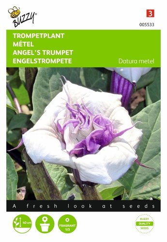 Buzzy® Datura, Trompetplant - afbeelding 1