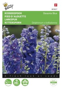 Buzzy® Delphinium, Ridderspoor Dasante Blue - afbeelding 1