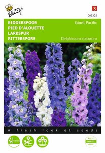 Buzzy® Delphinium, Ridderspoor Giant Pacific gemengd - afbeelding 1