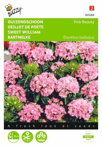 Buzzy® Dianthus, Duizenschoon Pink Beauty - afbeelding 1