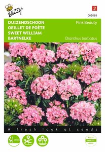 Buzzy® Dianthus, Duizenschoon Pink Beauty - afbeelding 1