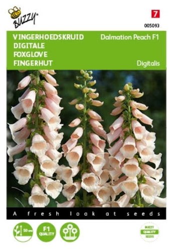 Buzzy® Digitalis, Vingerhoedskruid Dalmation F1 Peach - afbeelding 1