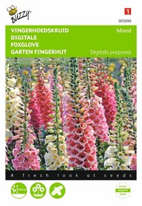 Buzzy® Digitalis, Vingerhoedskruid Gemengd - afbeelding 1