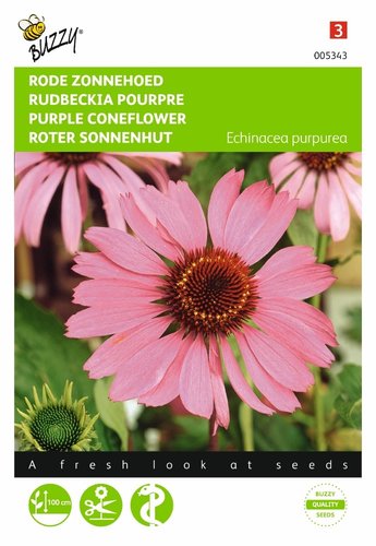 Buzzy® Echinacea, Rode Zonnehoed - afbeelding 1