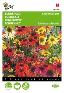 Buzzy® Echinacea, Zonnehoed Cheyenne Spirit - afbeelding 1