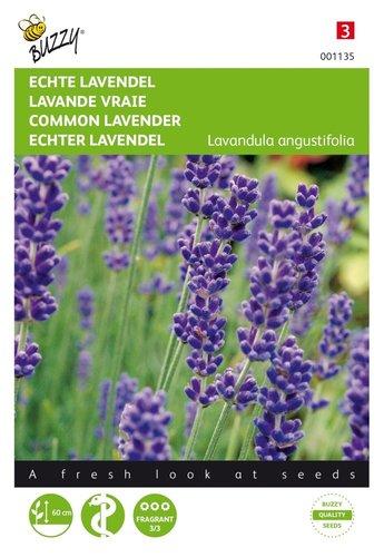 Buzzy® Echte Lavendel - afbeelding 1