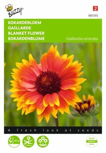 Buzzy® Gaillardia, Kokardebloem - afbeelding 1