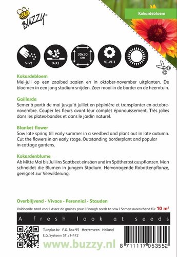 Buzzy® Gaillardia, Kokardebloem - afbeelding 2