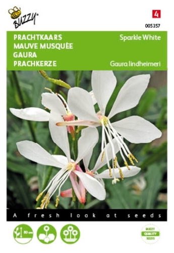 Buzzy® Gaura lindheimeri, Prachtkaars Sparkle White - afbeelding 1