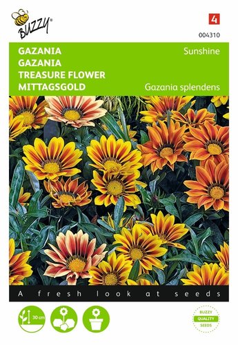 Buzzy® Gazania Sunshine gemengd - afbeelding 1