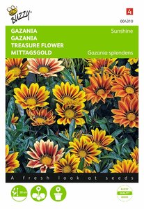 Buzzy® Gazania Sunshine gemengd - afbeelding 1