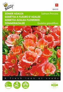 Buzzy® Godetia, Zomer Azalea Salmon Princess - afbeelding 1