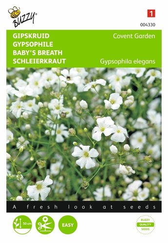 Buzzy® Gypsophila, Gipskruid Covent Garden - afbeelding 1