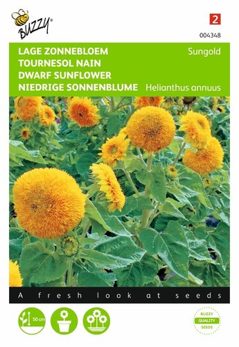 Buzzy® Helianthus, Zonnebloem Sungold dubbelbloemig laag - afbeelding 1