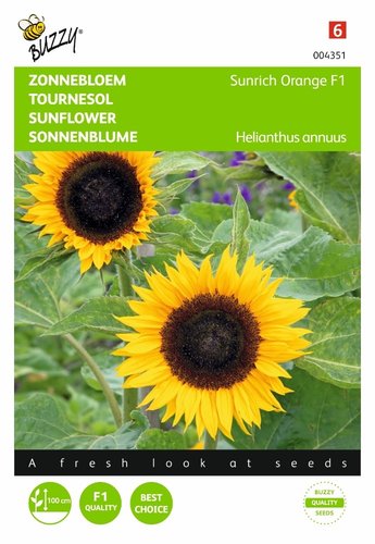 Buzzy® Helianthus, Zonnebloem Sunrich Orange F1 - afbeelding 1