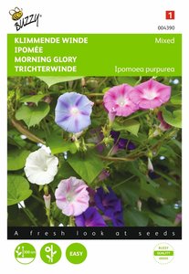 Buzzy® Ipomoea, Klimmende winde gemengd - afbeelding 1