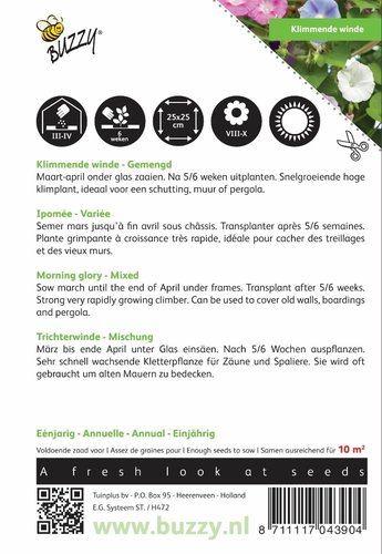 Buzzy® Ipomoea, Klimmende winde gemengd - afbeelding 2