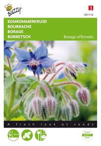 Buzzy® Komkommerkruid (Borage) - afbeelding 1