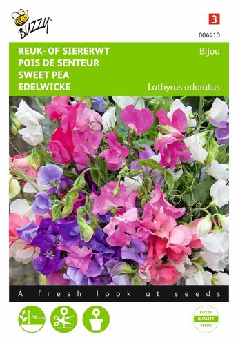 Buzzy® Lathyrus, Reuk- of siererwt Bijou - afbeelding 1