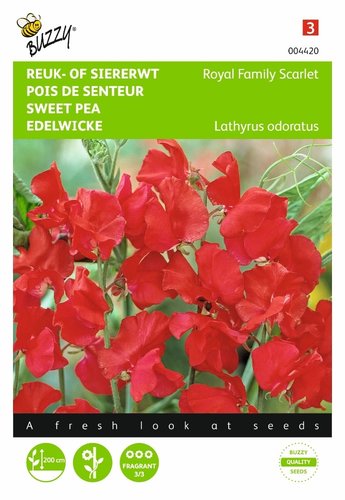 Buzzy® Lathyrus, Reuk- of siererwt Royal Family Scarlet - afbeelding 1